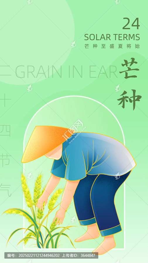 二十四節(jié)氣芒種插畫海報(bào)