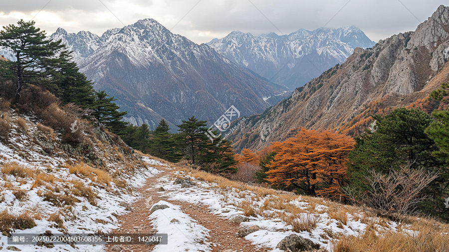 秋日雪山小徑與彩葉