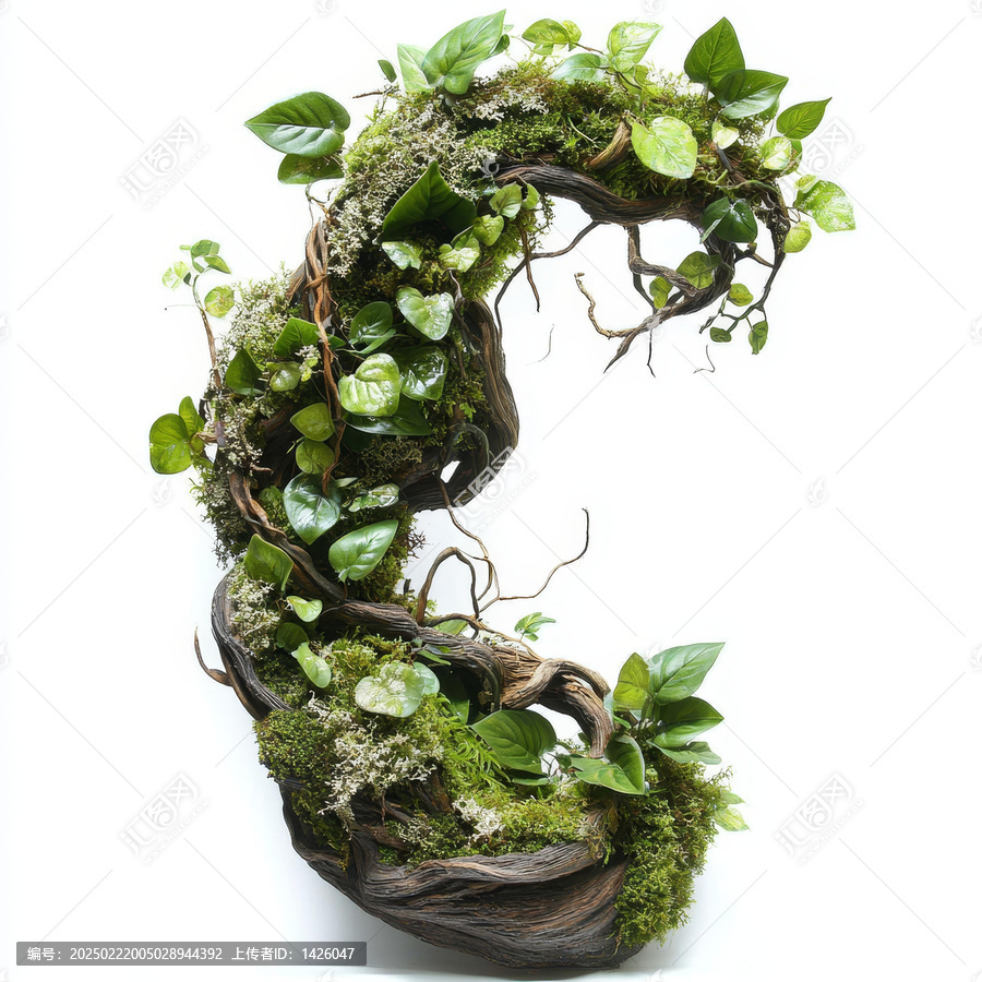 苔蘚與樹(shù)根的藝術(shù)擺設(shè)