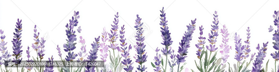 水彩薰衣草花卉邊框設(shè)計(jì)