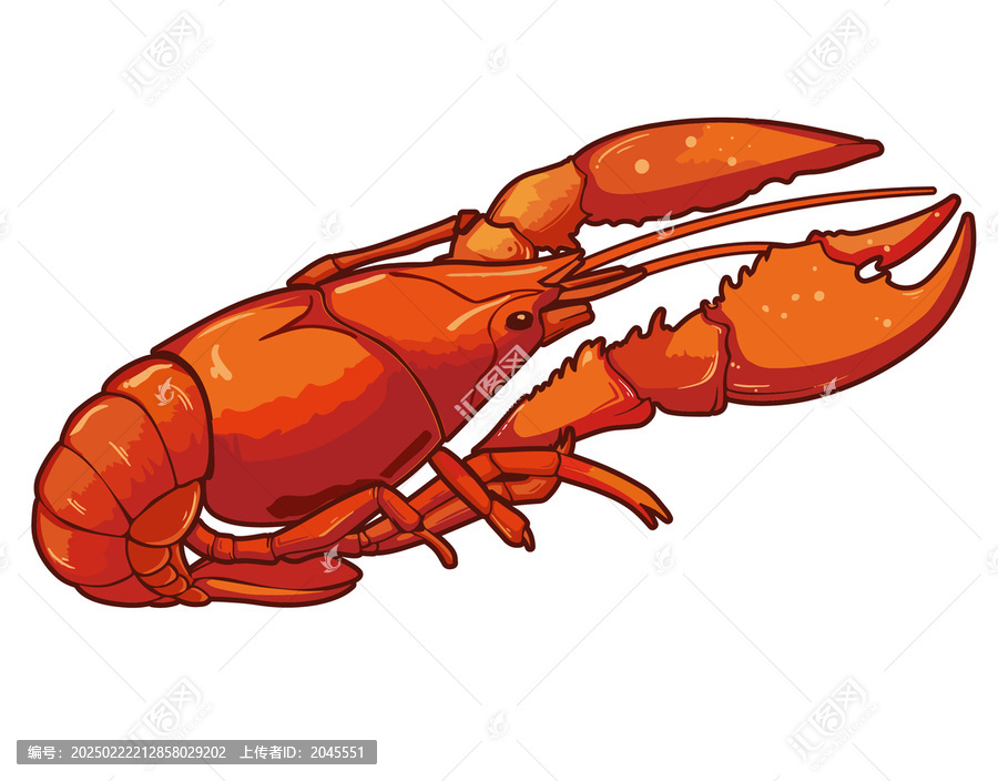 手繪插畫紅色盱眙小龍蝦包裝水產(chǎn)