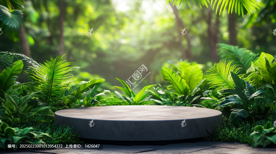 蔥郁綠植背景下的空置展示臺