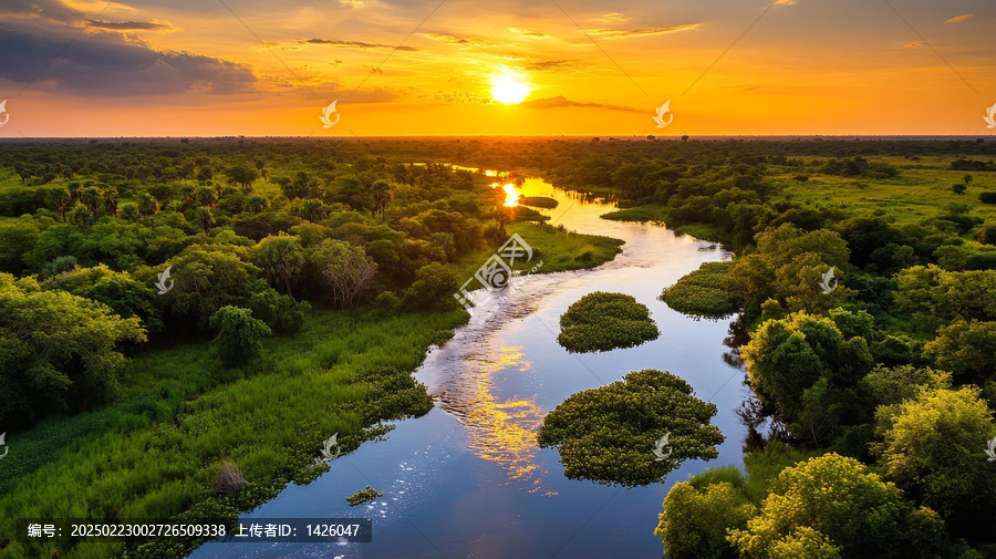 夕陽下的熱帶河流景觀