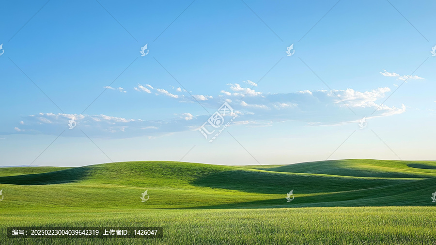 廣闊綠色田野下的晴空