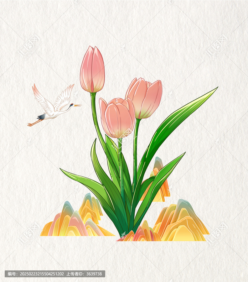 郁金香插畫