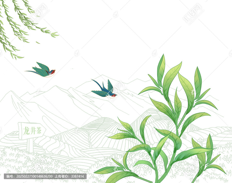 龍井茶葉手繪