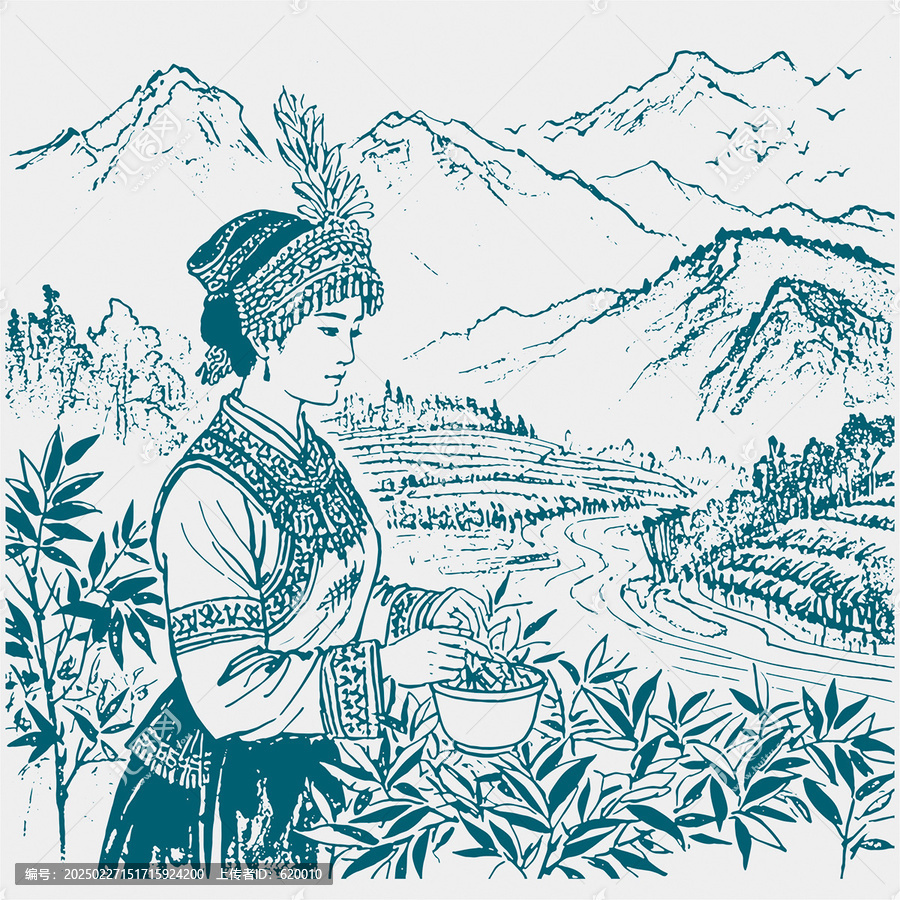 春季采茶忙插畫素描茶葉包裝底紋矢量圖