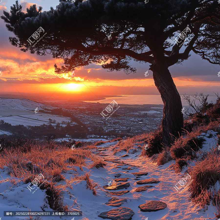冬天夕陽雪景