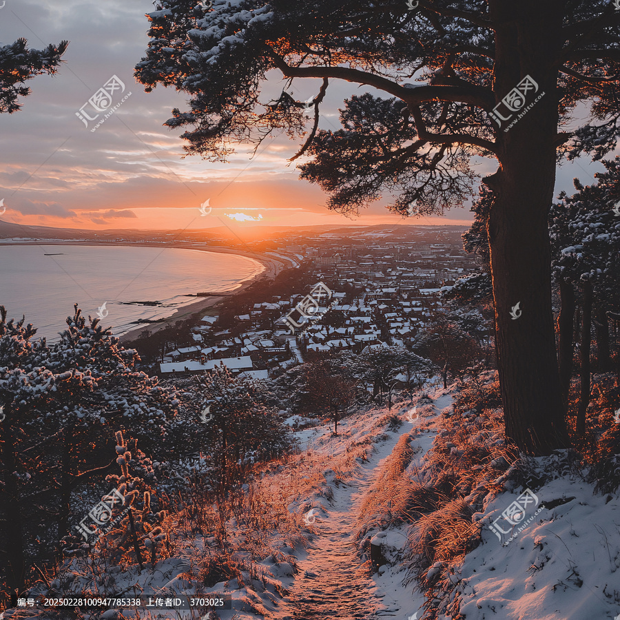 冬天森林夕陽雪景