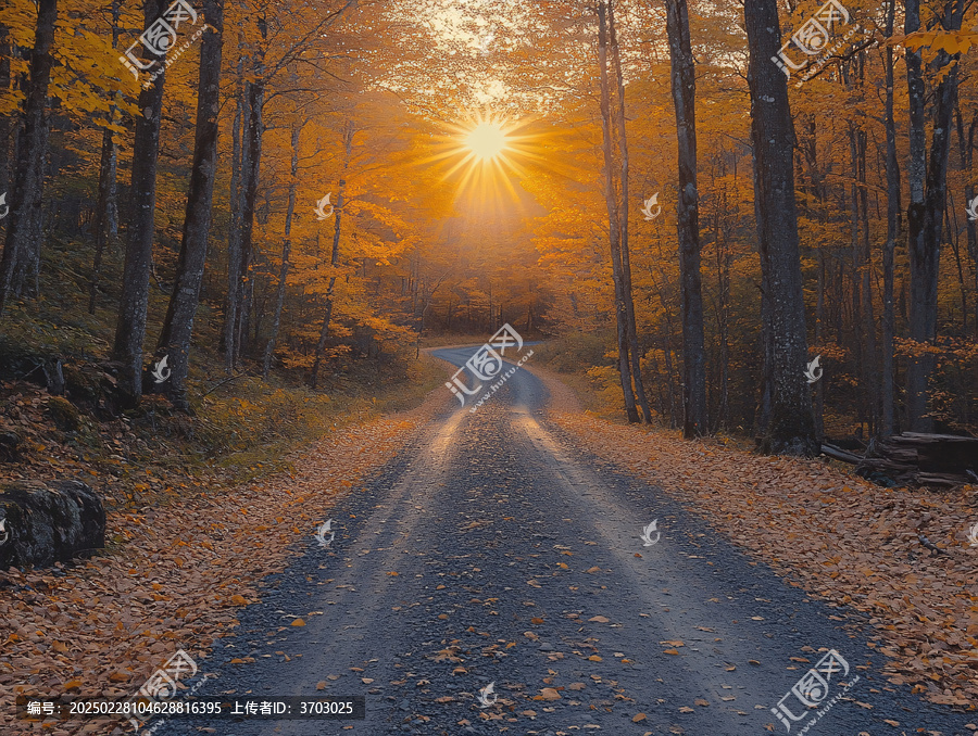 秋天陽(yáng)光道路