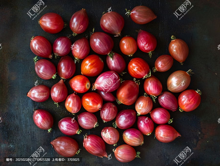洋蔥靜物
