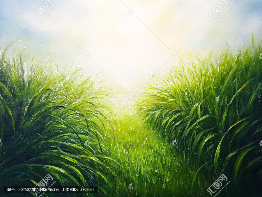 草叢陽光
