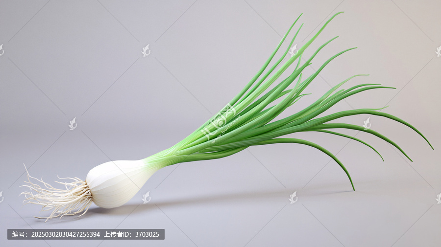 蒜苗設計素材