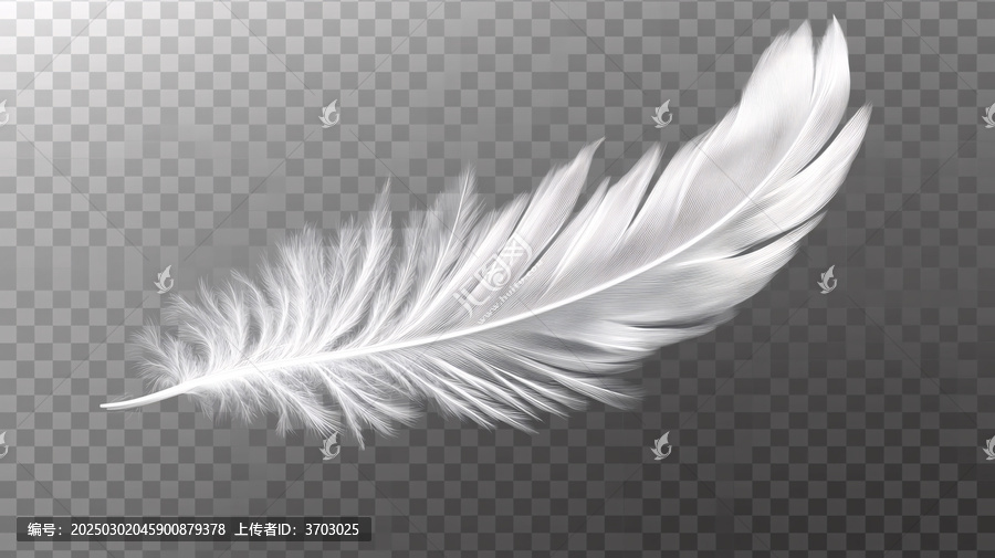 黑白鵝毛