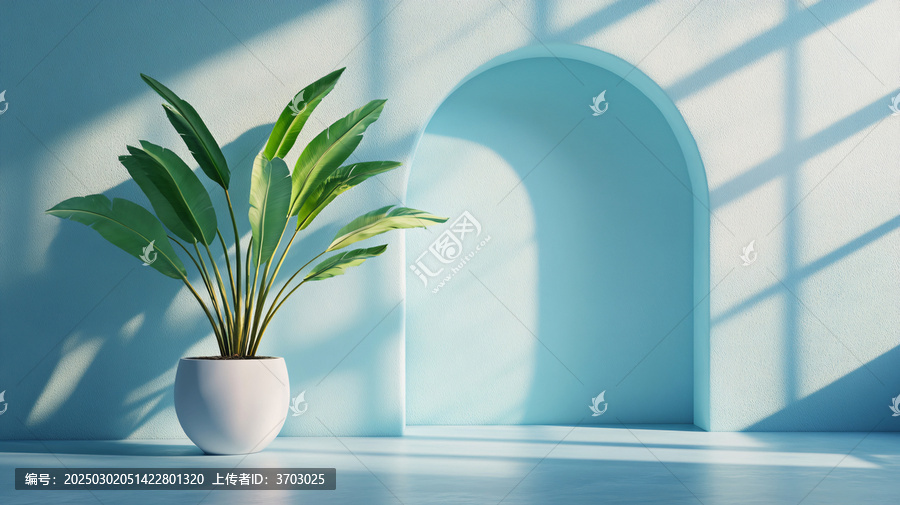 藍(lán)色的房間里的植物