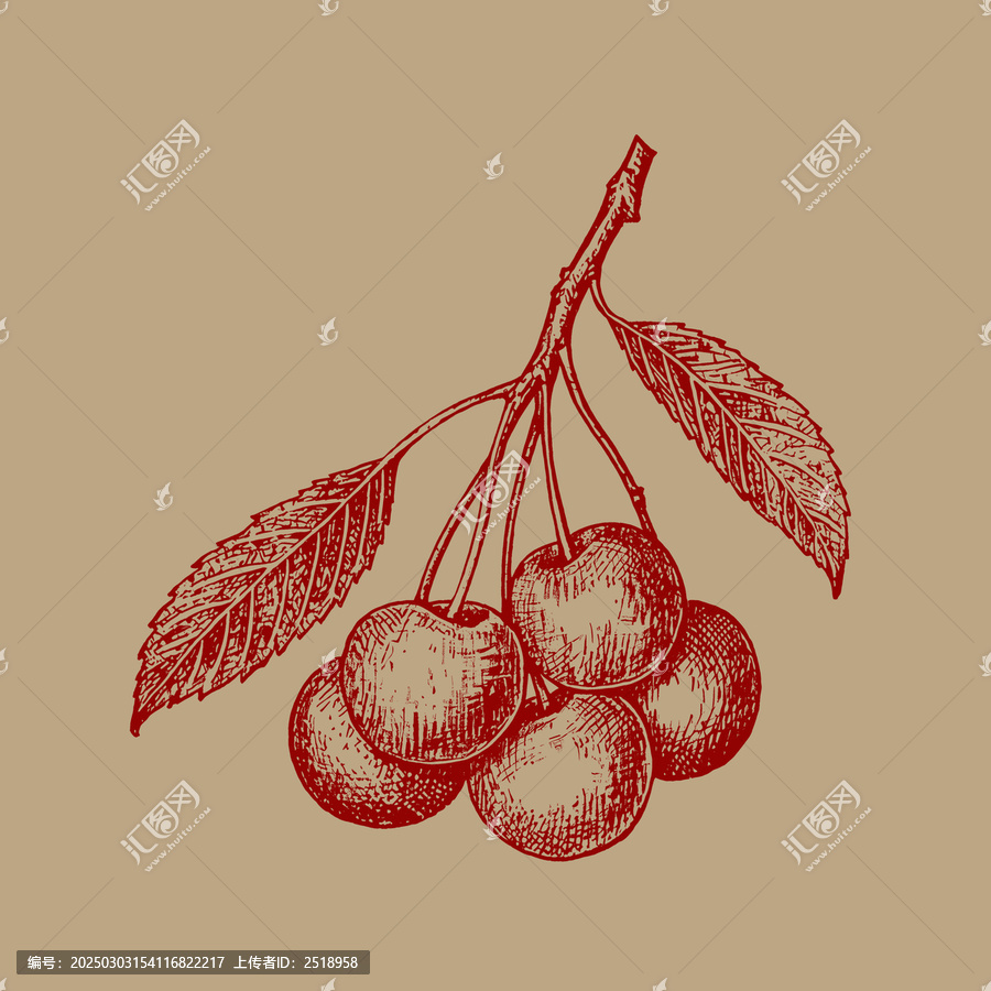 櫻桃包裝插圖