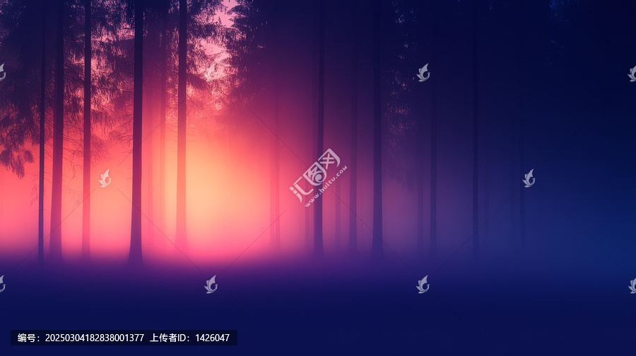 神秘的迷霧森林日出