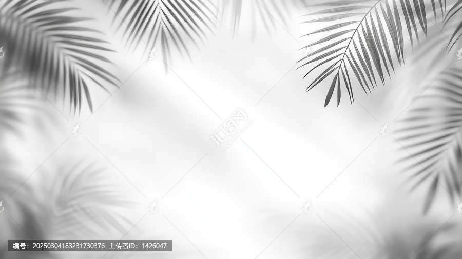 白色背景下的棕櫚葉影子圖