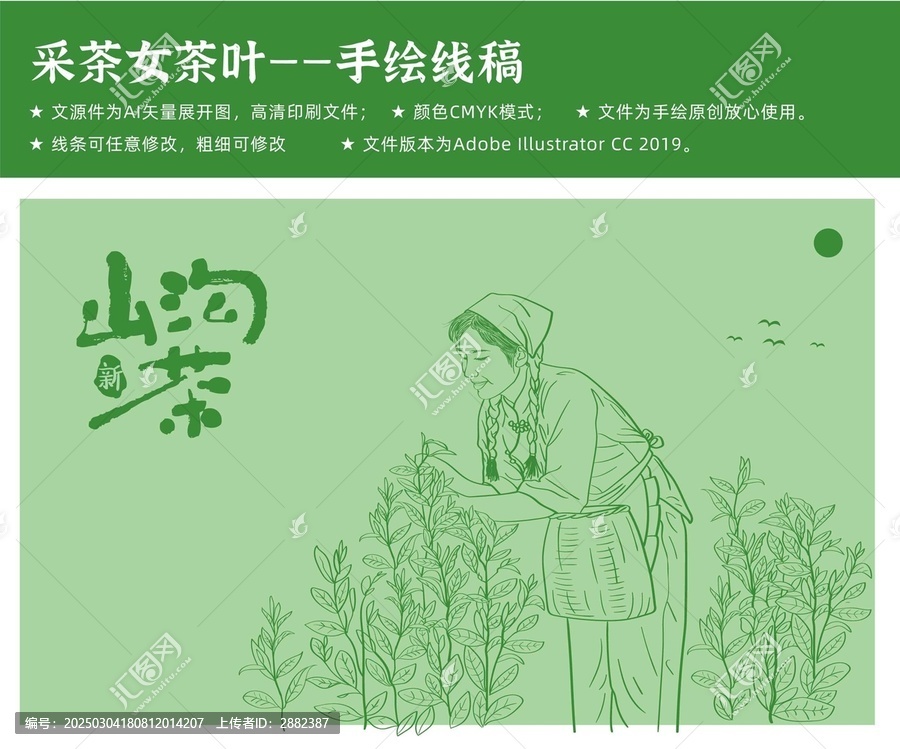 茶葉采摘茶園采茶女