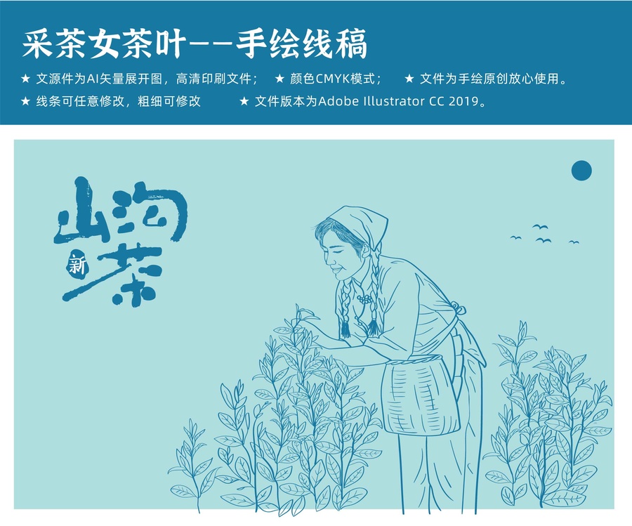 茶葉采摘茶園采茶女