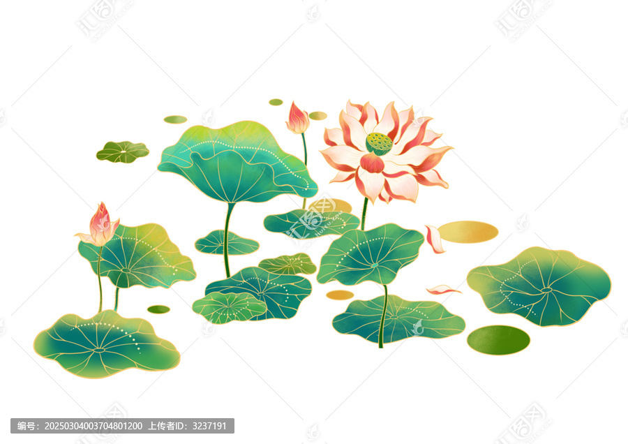 夏日荷花國風(fēng)插圖