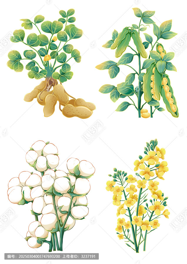 食用油包裝元素