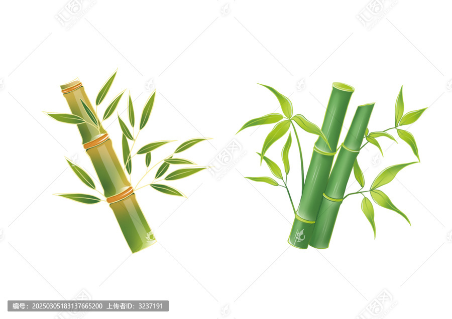 綠竹插畫元素
