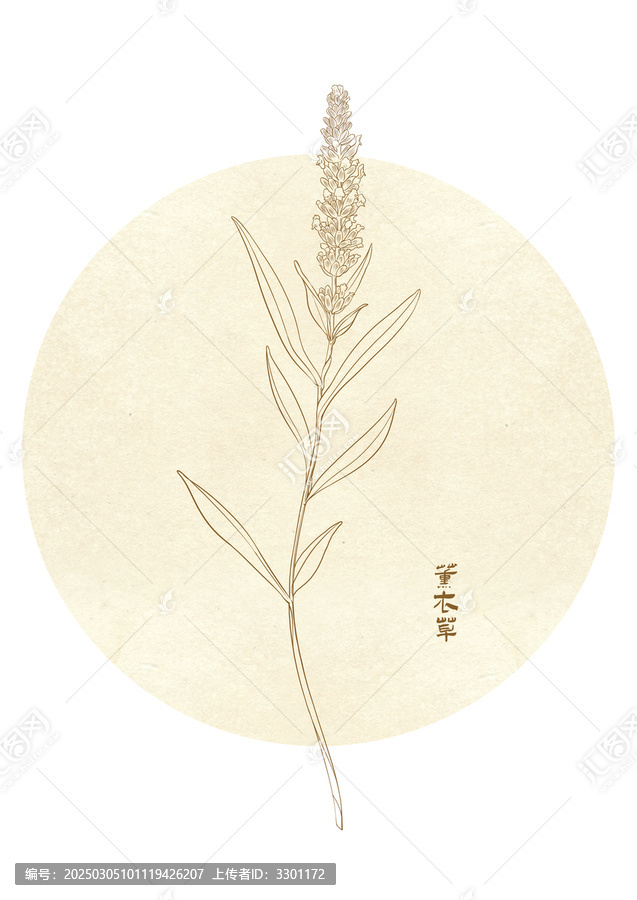 薰衣草線描寫意中國(guó)風(fēng)