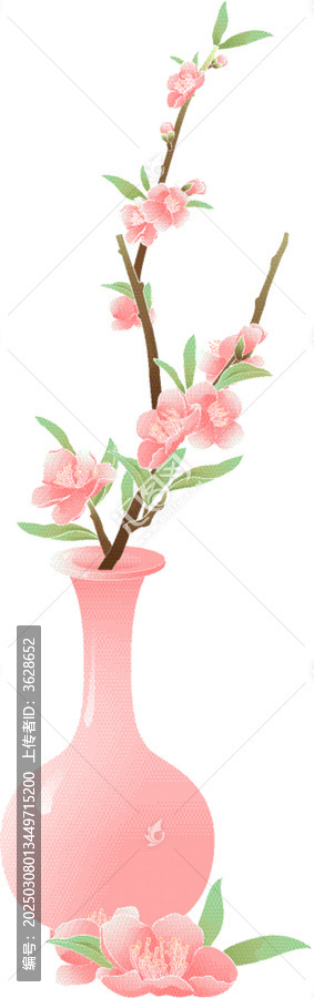 春天桃花櫻花節(jié)氣矢量插畫(huà)