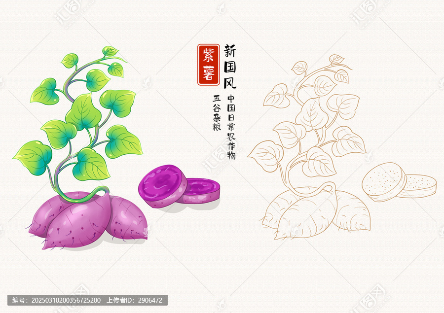 紫薯插畫