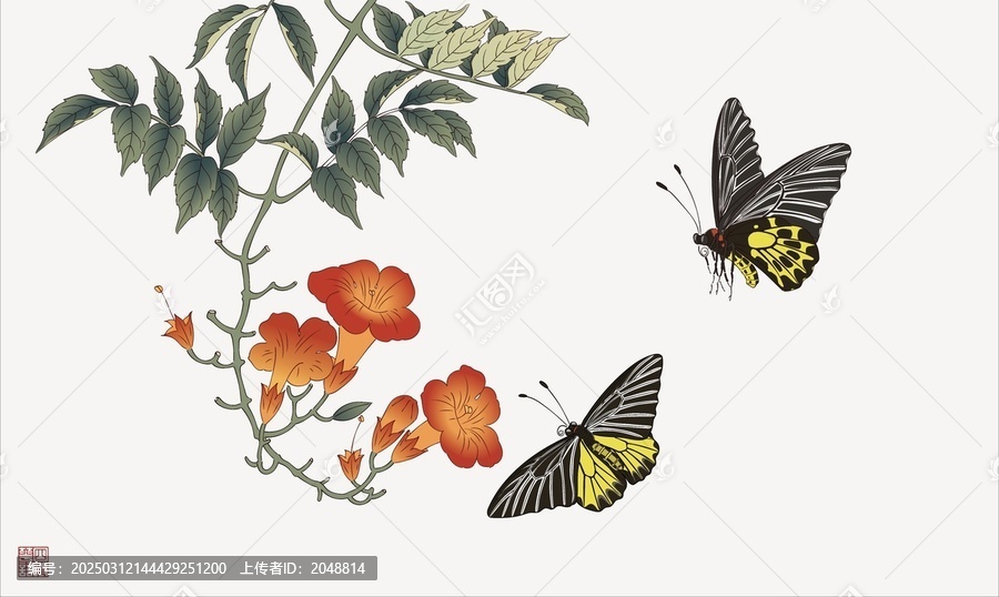 凌霄花金裳鳳蝶花鳥畫設(shè)色