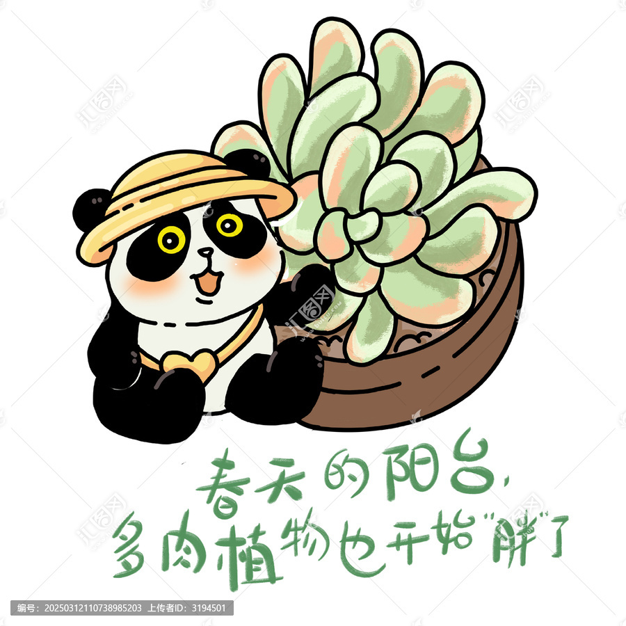春語(yǔ)之熊貓多肉文創(chuàng)插畫