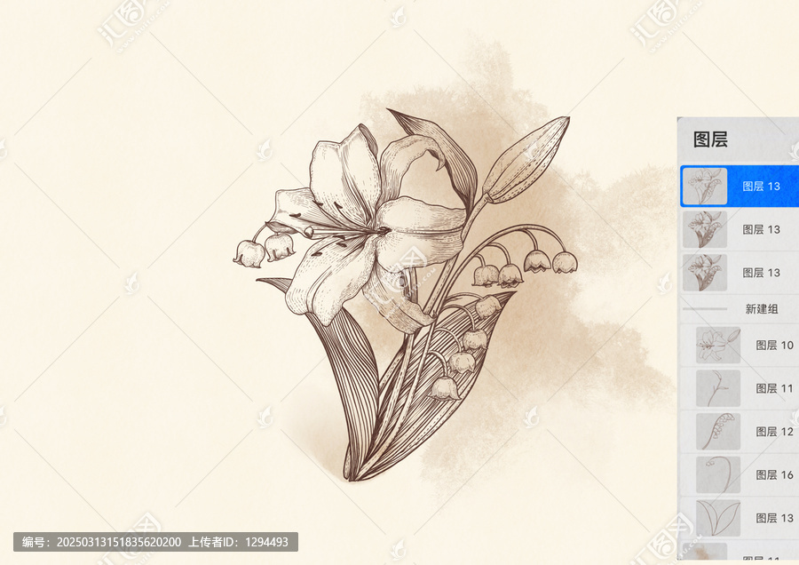 百合鈴蘭花卉線條手繪