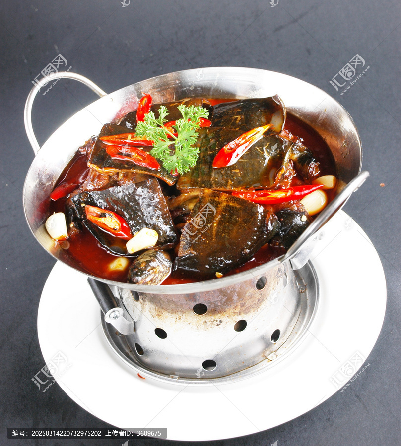 農(nóng)夫甲魚