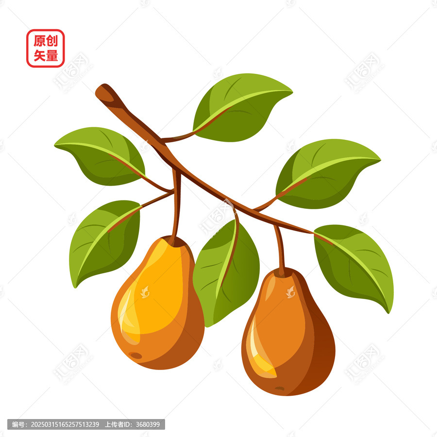 矢量插圖水果枝頭成熟梨子