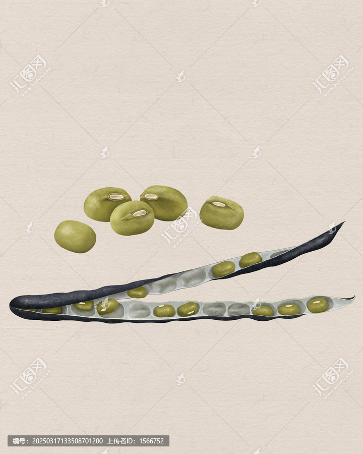 綠豆