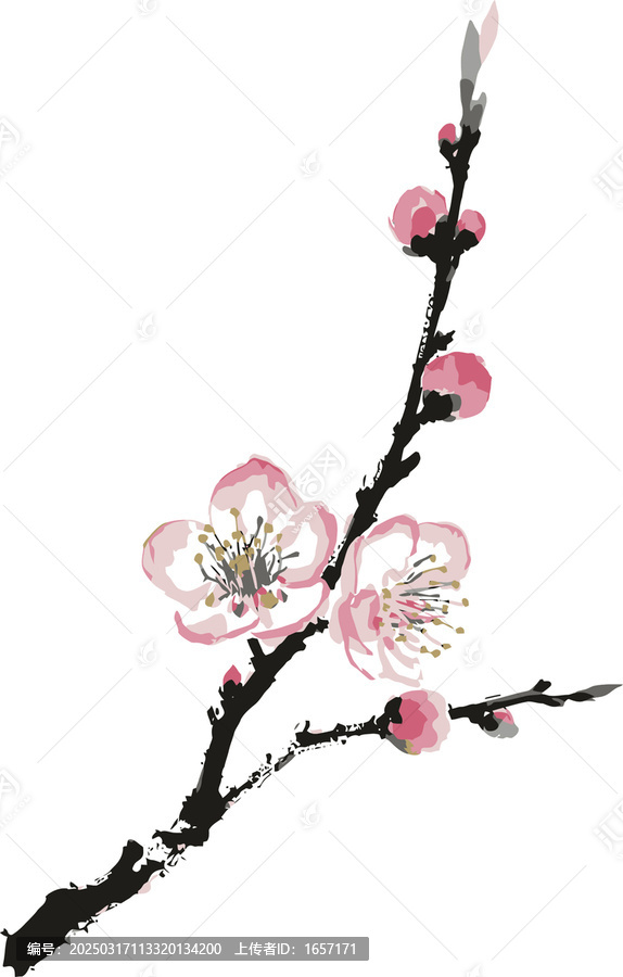 梅花素材國畫梅花矢量分層素材