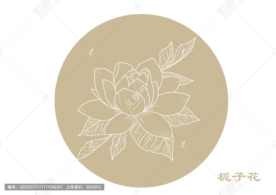 梔子花線稿手繪