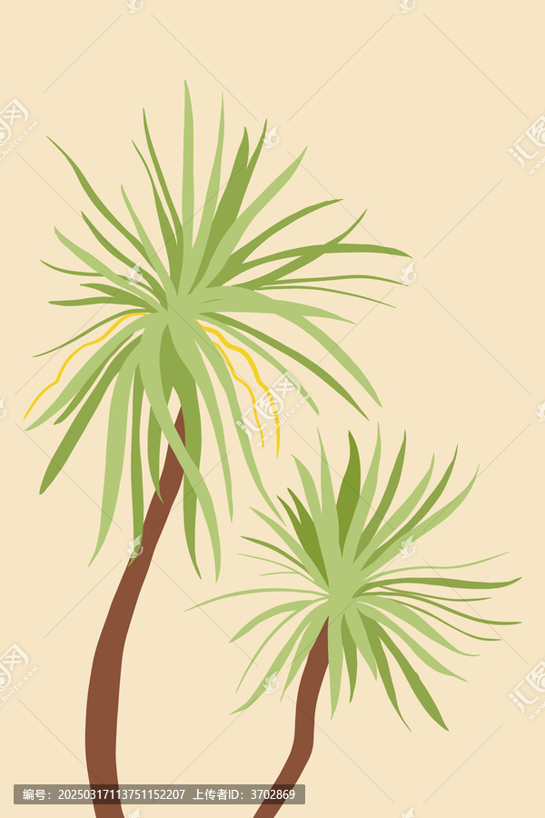 熱帶植物