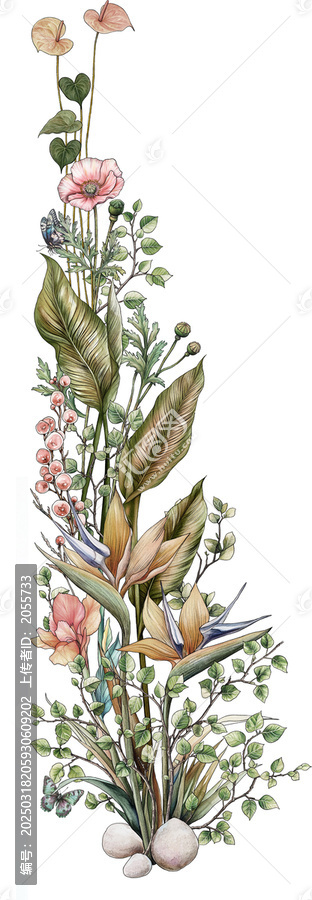 植物花卉