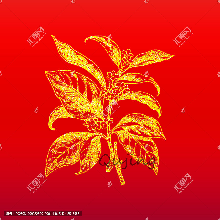 桂花插畫