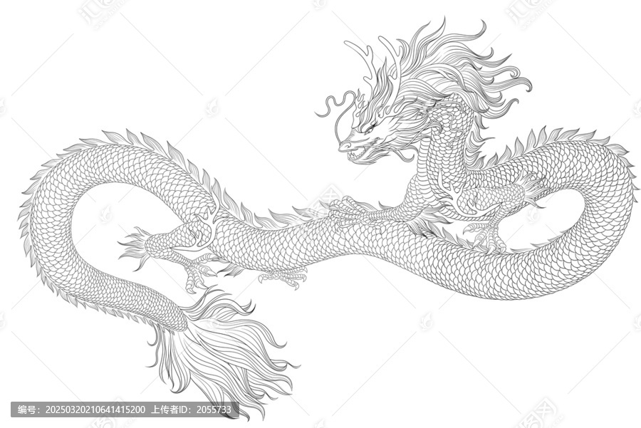 龍線稿