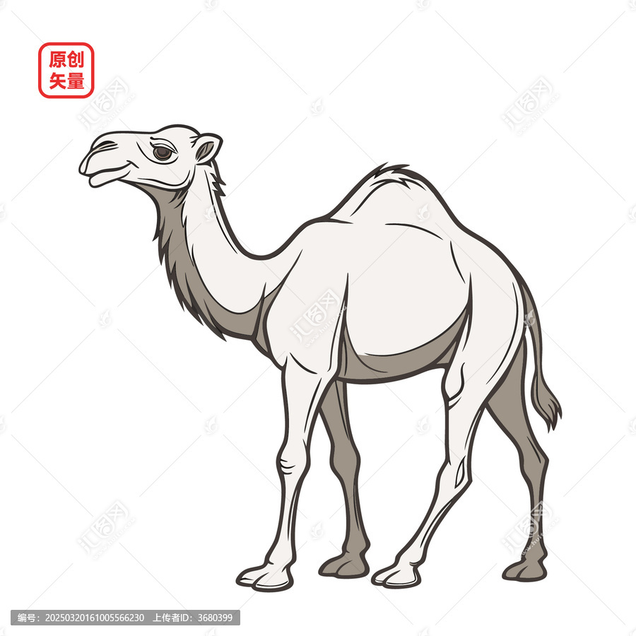 矢量插圖動物駱駝