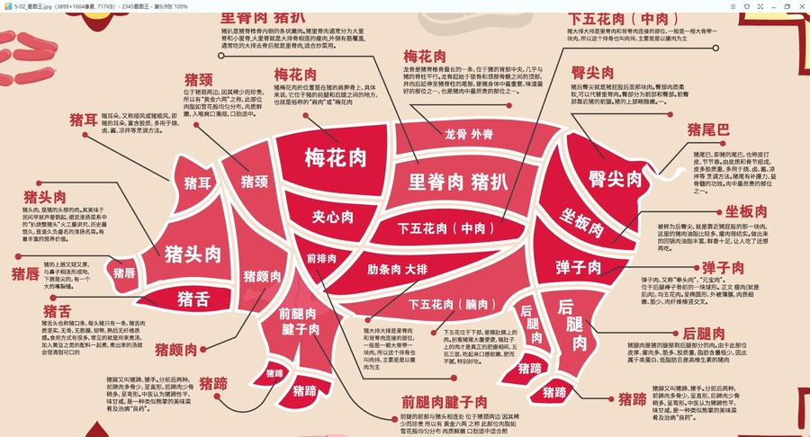 豬肉部位分割圖