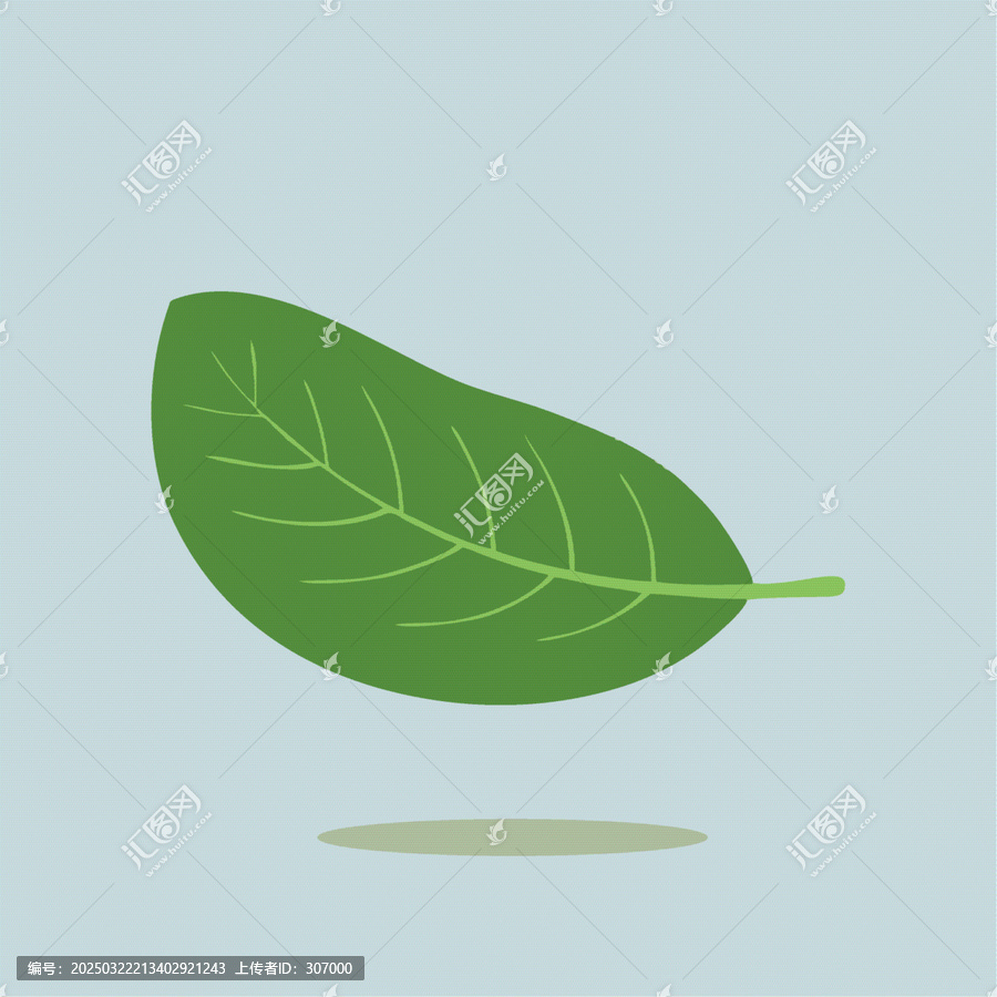 綠色單葉片的卡通Q版兒童插畫