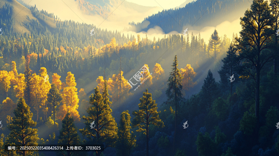 景森林陽(yáng)光寬幅