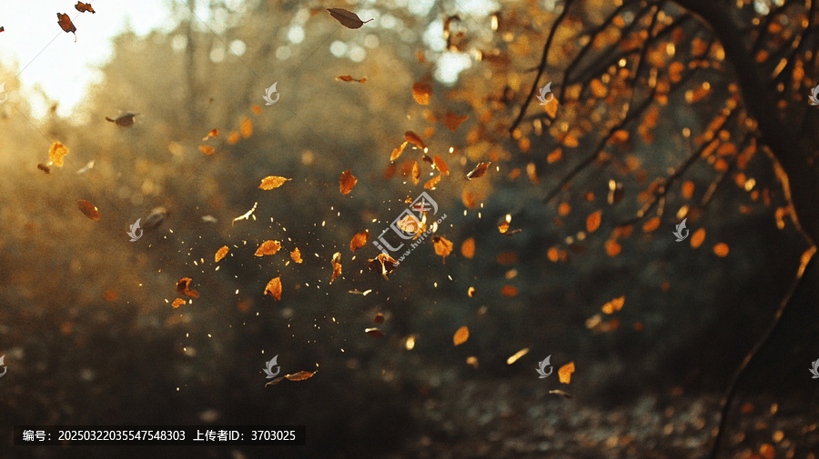 唯美秋日落葉