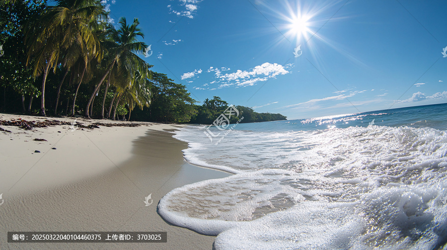 椰林海灘圖片素材