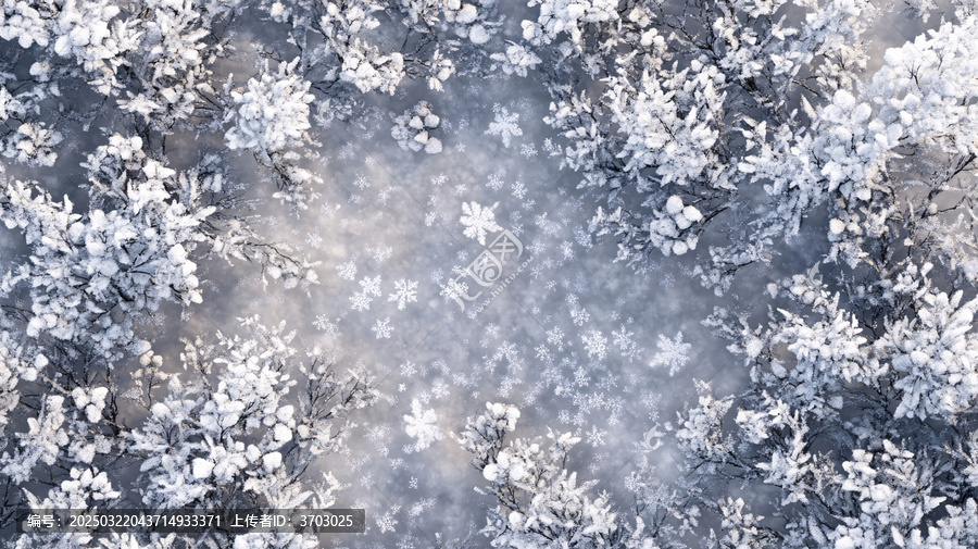 唯美藍(lán)雪花