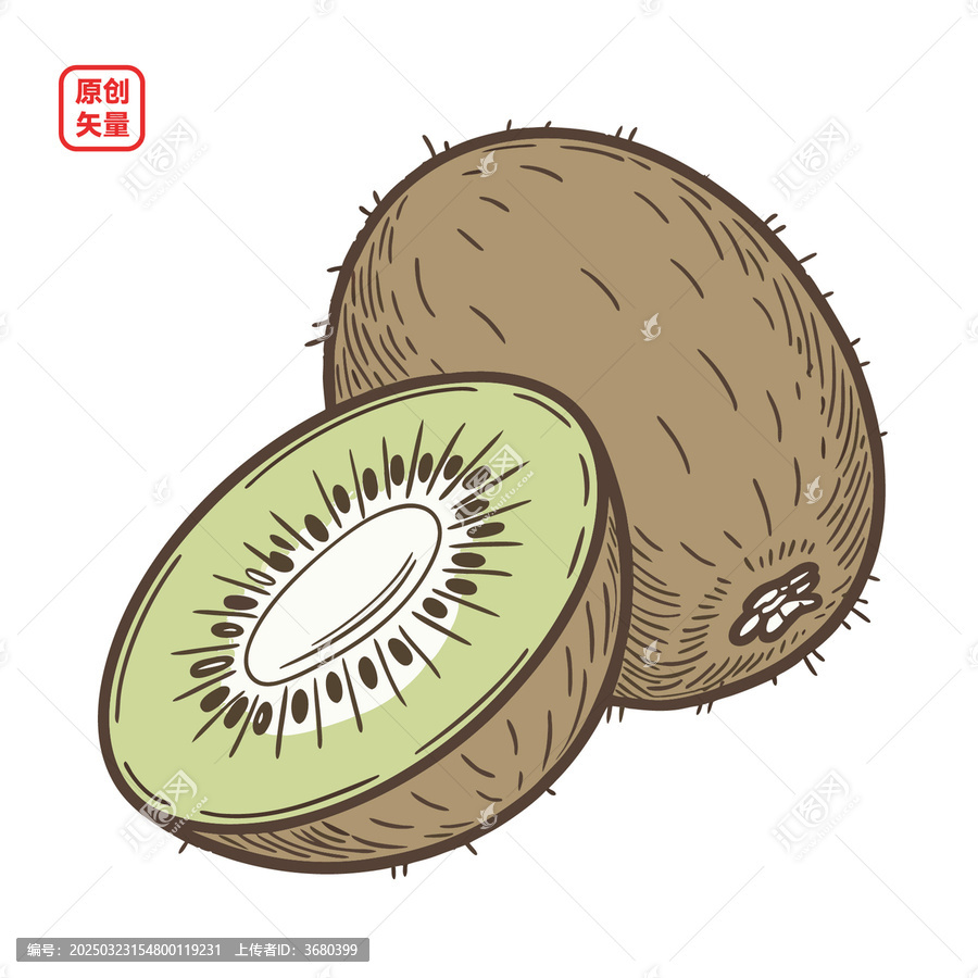 矢量插圖水果簡約美味獼猴桃